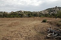 Sartenais, zum Menhirwald von Cicali.JPG